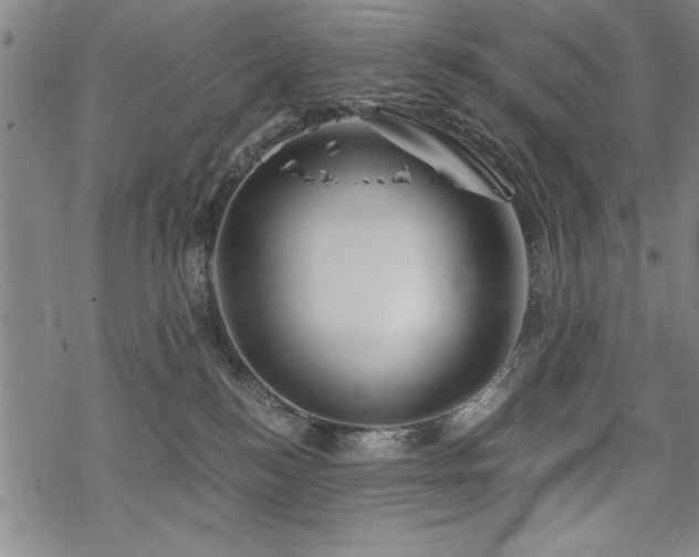 X0000069830184200605221216