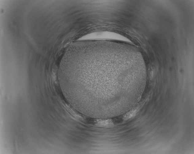 X0000069830185200605221216