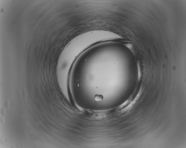 X0000069830186200605221216