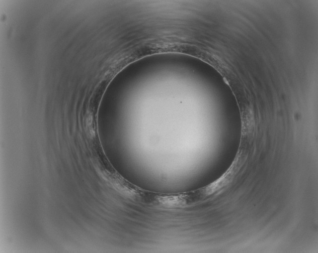 X0000069830187200605221216