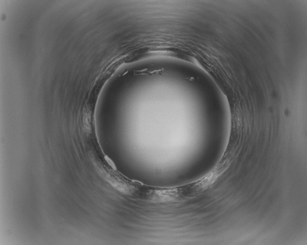 X0000069830188200605221216