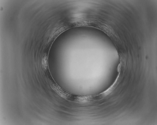 X0000069830190200605221216