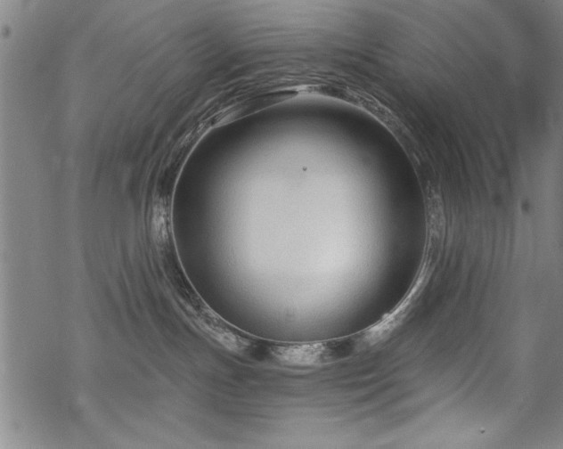 X0000069830191200605221216