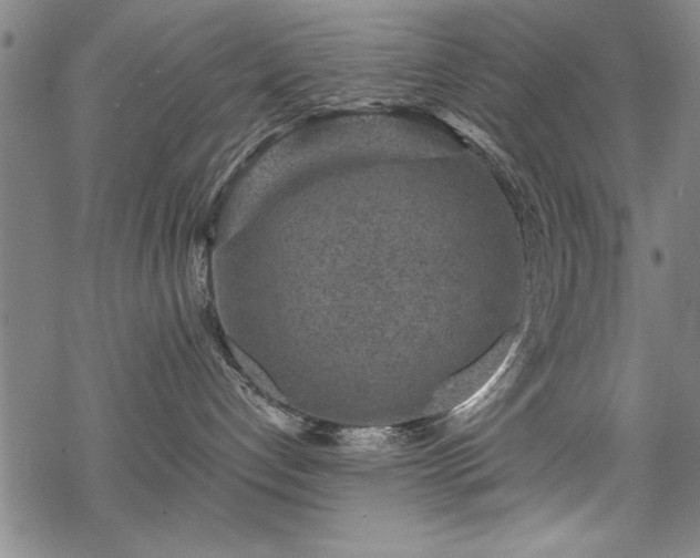 X0000069830192200605221216