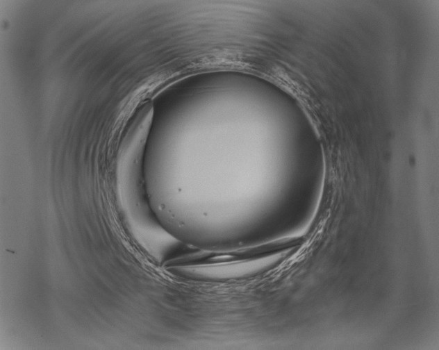 X0000069830193200605221215