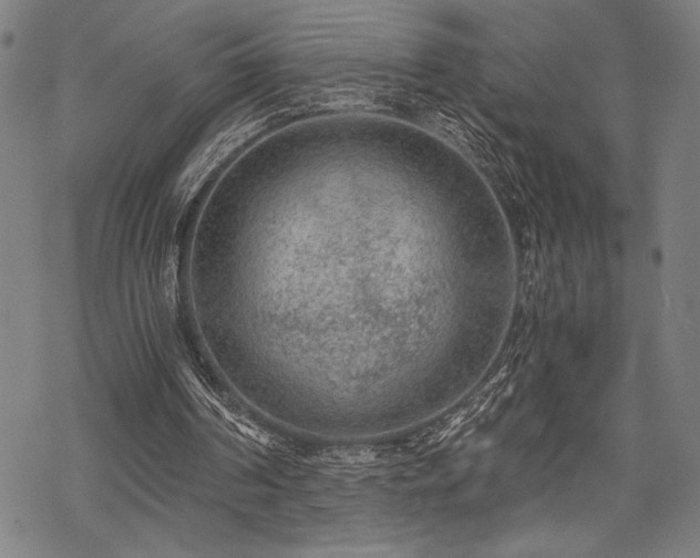 X0000069830194200605221215