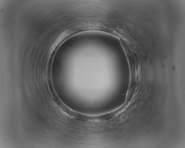 X0000069830195200605221215