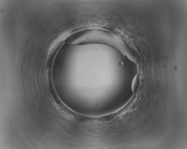 X0000069830197200605221215