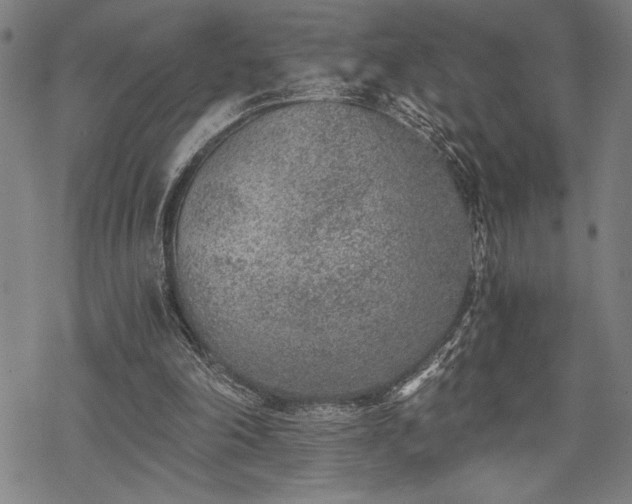 X0000069830198200605221215