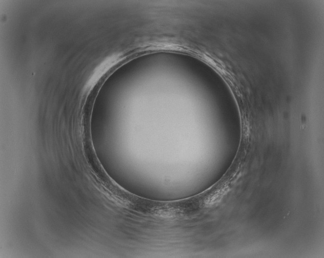 X0000069830199200605221215