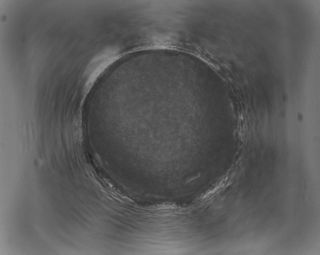 X0000069830200200605221215