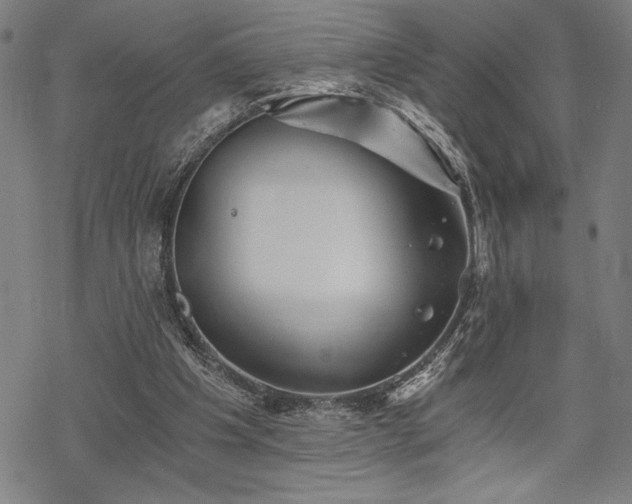 X0000069830201200605221215