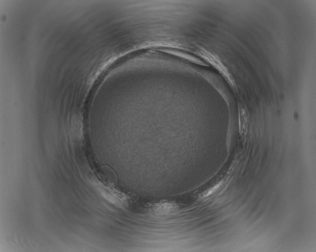 X0000069830204200605221215