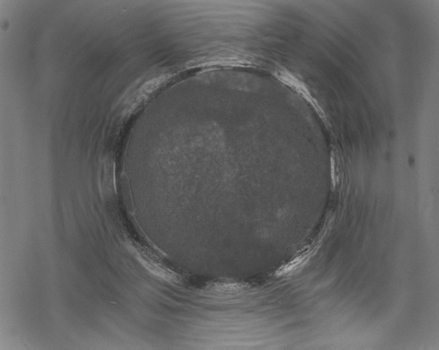 X0000069830205200605221215