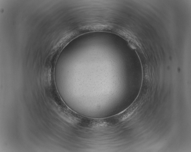 X0000069830206200605221215