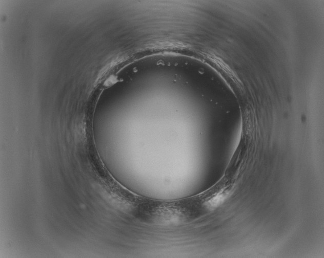 X0000069830207200605221215