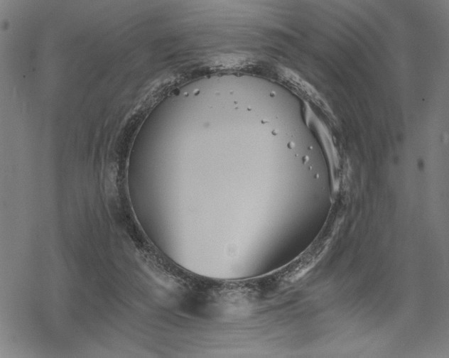 X0000069830209200605221215