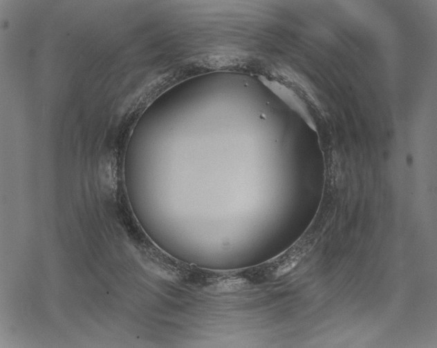 X0000069830210200605221215