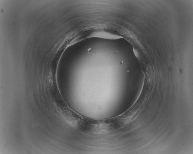 X0000069830212200605221215