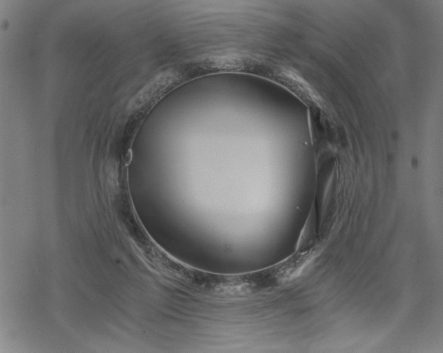 X0000069830213200605221215