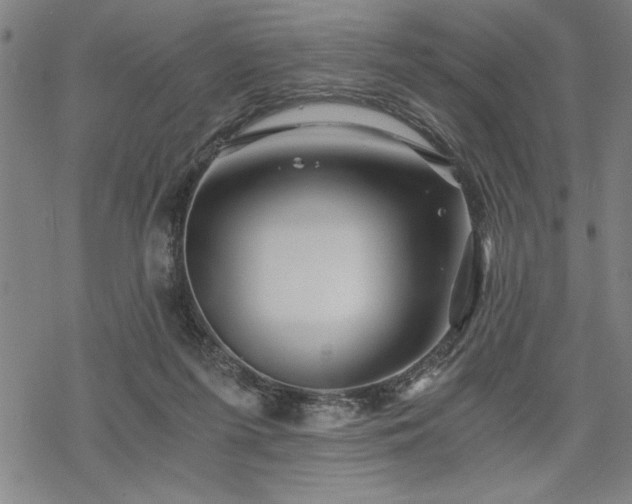 X0000069830215200605221215