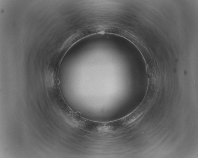 X0000069830216200605221215