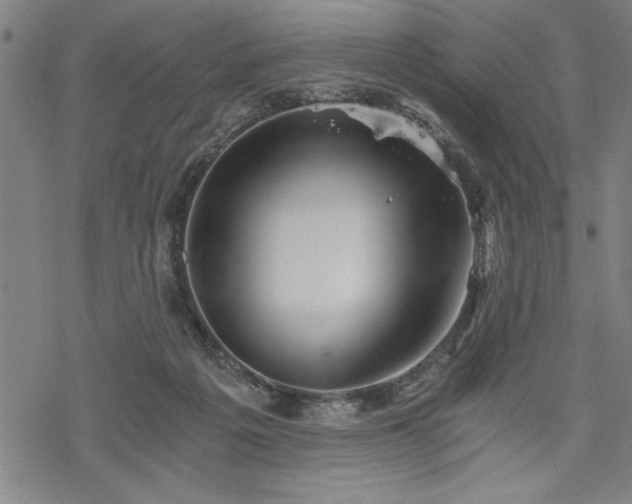 X0000069830217200605221215