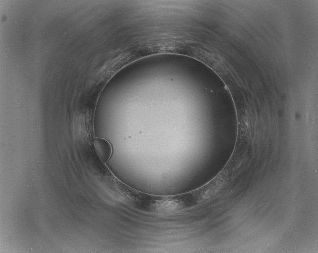 X0000069830218200605221215