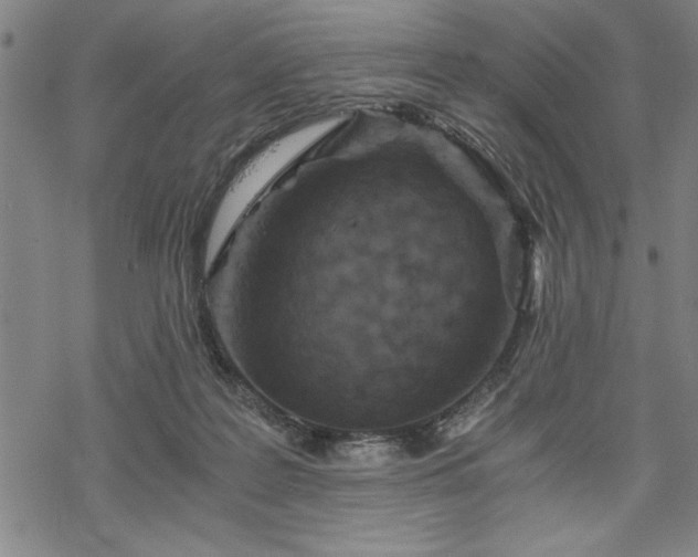 X0000069830219200605221215