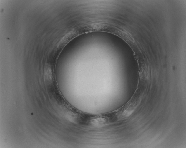 X0000069830220200605221215