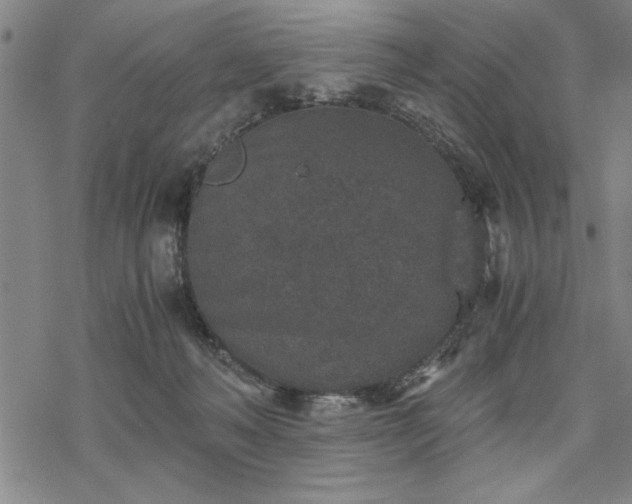 X0000069830222200605221215