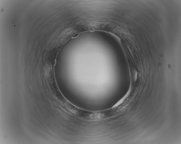 X0000069830225200605221215