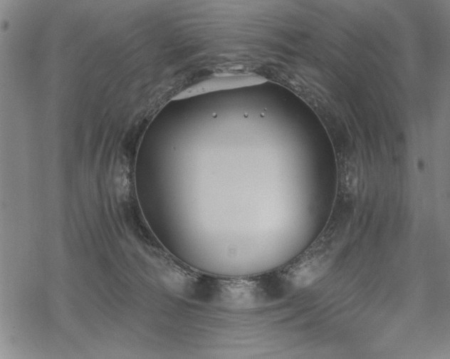 X0000069830226200605221215