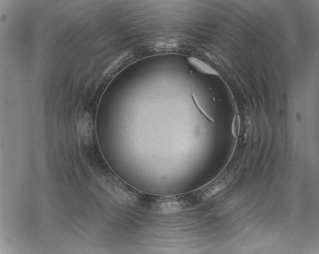 X0000069830228200605221215