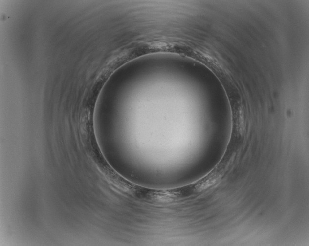 X0000069830229200605221215