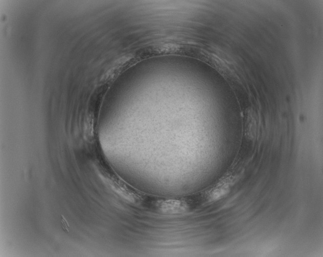 X0000069830230200605221215