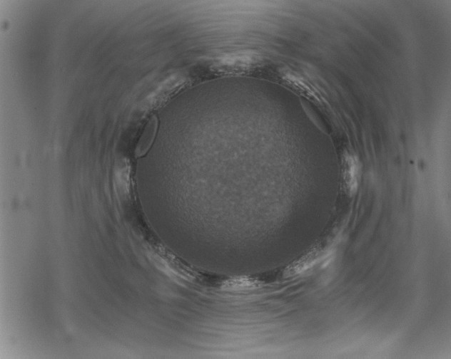 X0000069830231200605221215