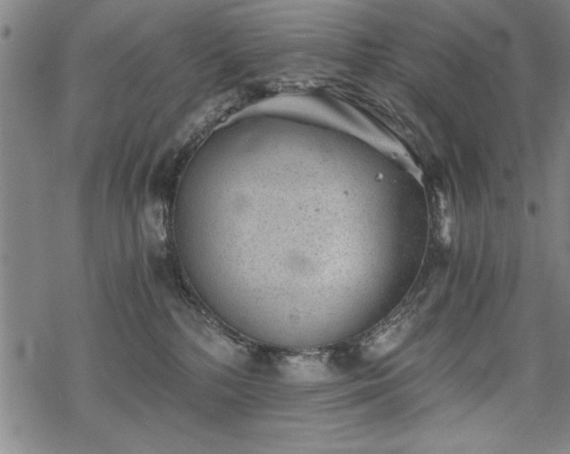 X0000069830232200605221215