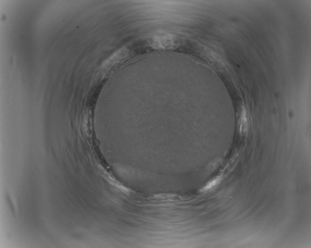 X0000069830233200605221215