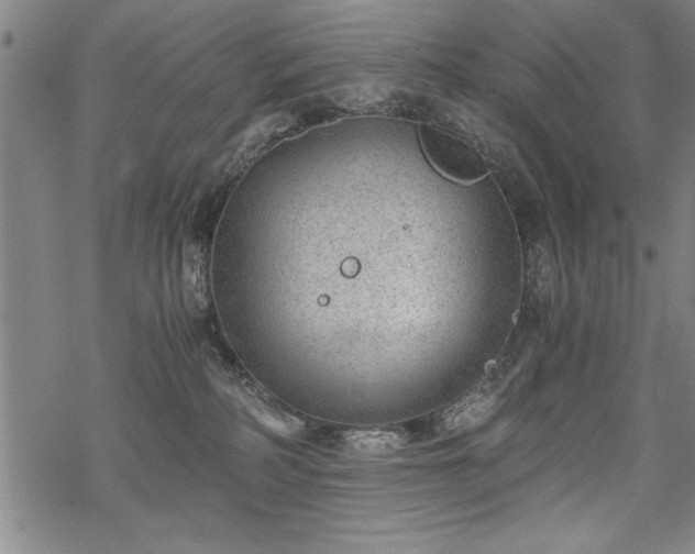 X0000069830234200605221215