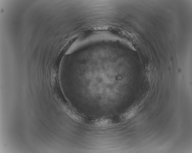 X0000069830235200605221215