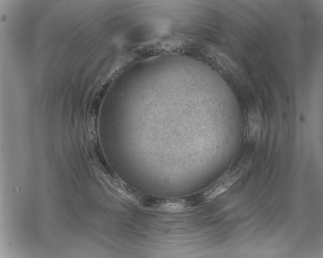 X0000069830236200605221215