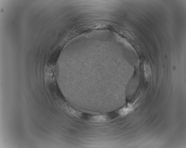 X0000069830237200605221215