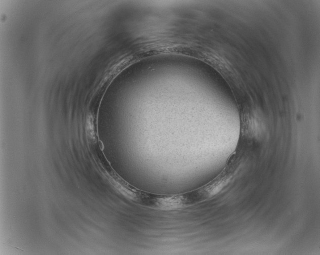 X0000069830238200605221215