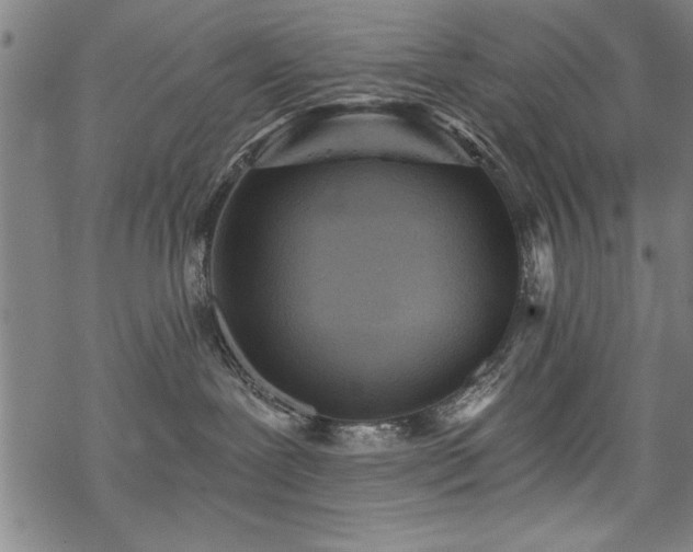 X0000069830239200605221215