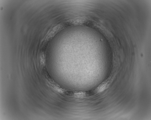 X0000069830240200605221215