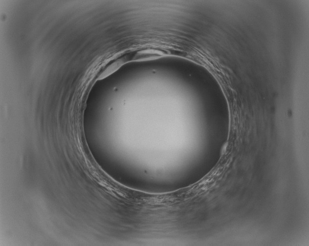 X0000069830241200605221214