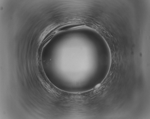 X0000069830242200605221214