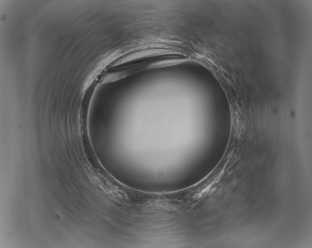 X0000069830244200605221214