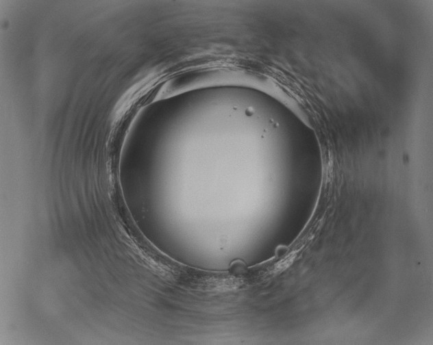 X0000069830245200605221214